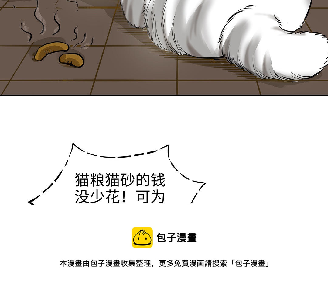 第43话  反击(1/3)-第44话