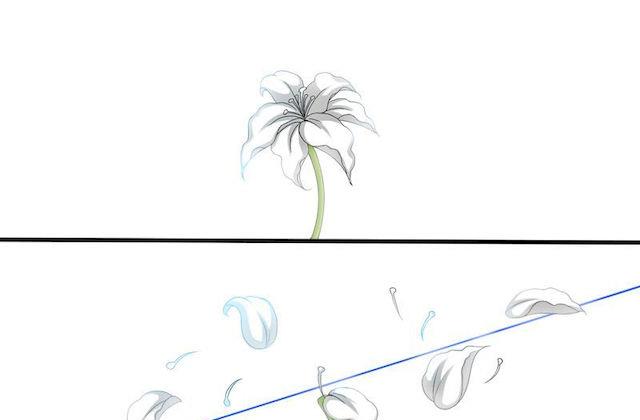 第4话 蔷薇的选择-第4话