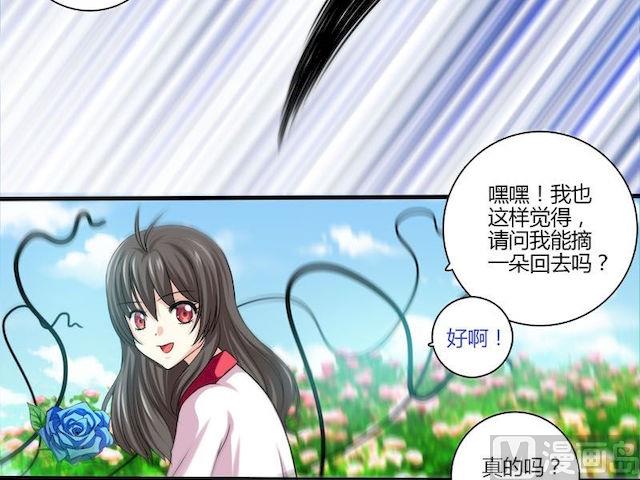 第4话 蔷薇的选择-第4话