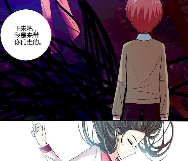 第4话 蔷薇的选择-第4话