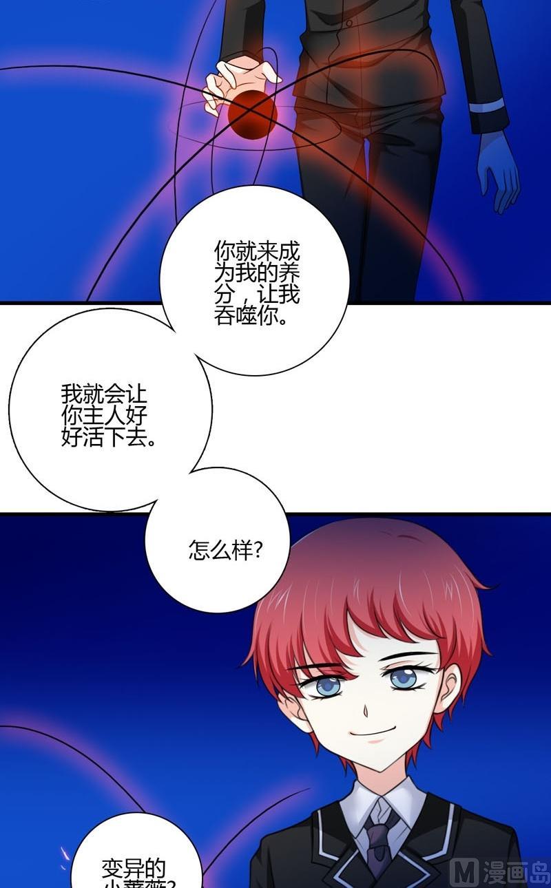 第43话变异蔷薇-第42话