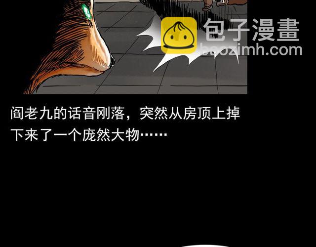 🍛枪爷异闻录 第141话 阎老九之丛林妖灵 第14页