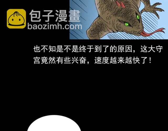 🍛枪爷异闻录 第141话 阎老九之丛林妖灵 第29页