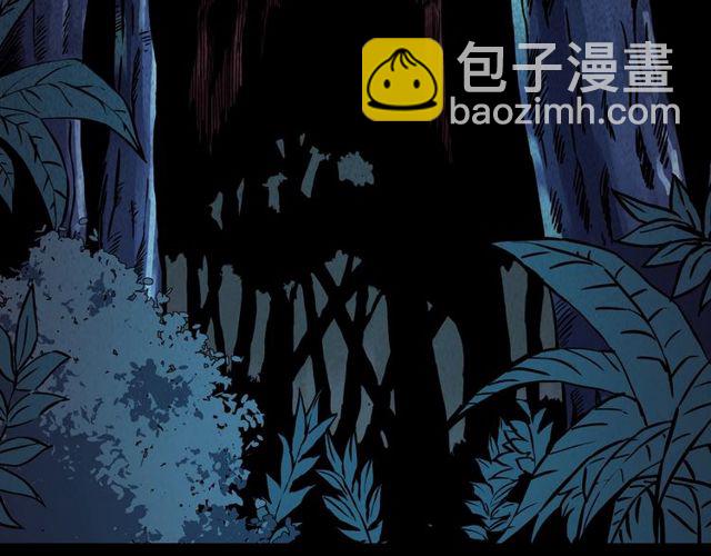 🍛枪爷异闻录 第141话 阎老九之丛林妖灵 第4页