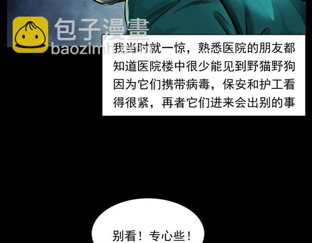 🍛枪爷异闻录 第159话  医院里的黑猫 第24页