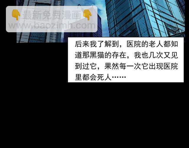 🍛枪爷异闻录 第159话  医院里的黑猫 第43页