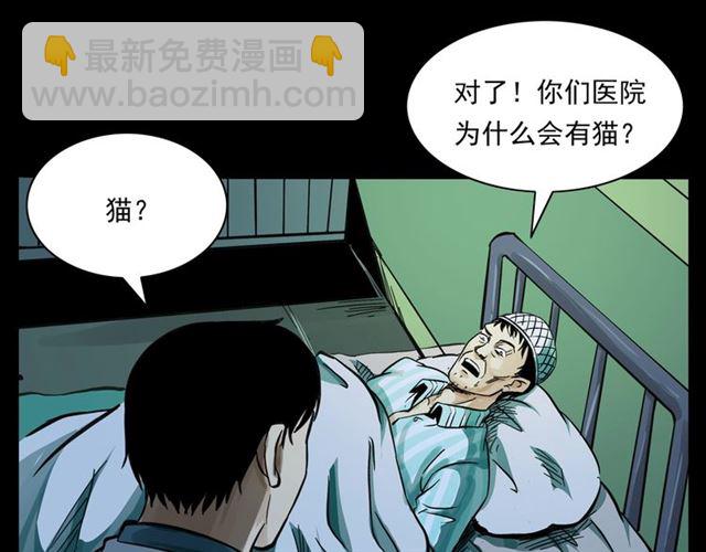 🍛枪爷异闻录 第159话  医院里的黑猫 第47页