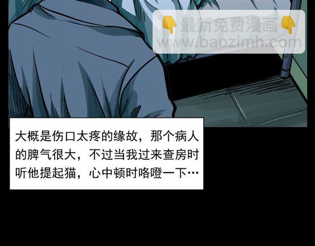 🍛枪爷异闻录 第159话  医院里的黑猫 第48页