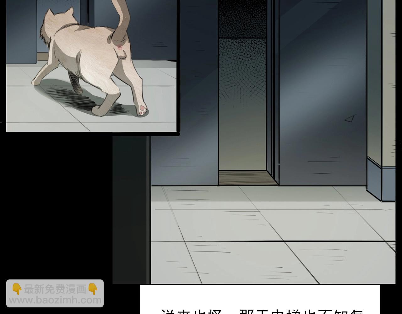 🍛枪爷异闻录 第212话 午夜场之停车场诡影 第28页