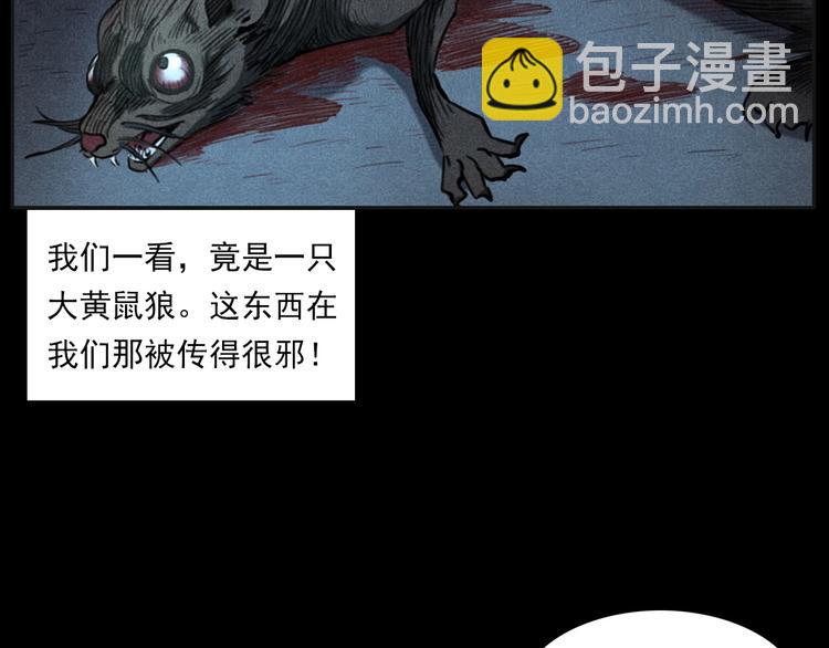 🍛枪爷异闻录 第284话 鼠杀 第20页