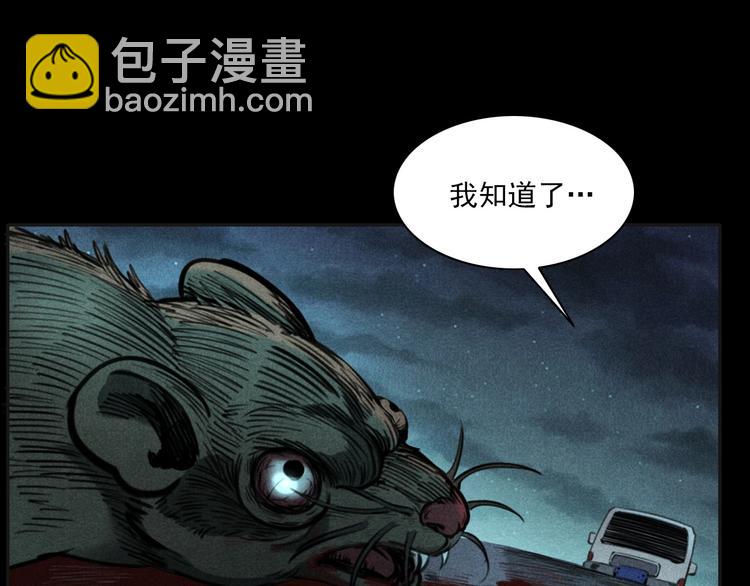 🍛枪爷异闻录 第284话 鼠杀 第24页