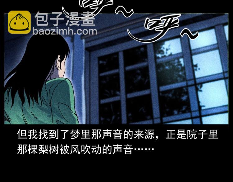 🍛枪爷异闻录 第308话 梨树 第17页