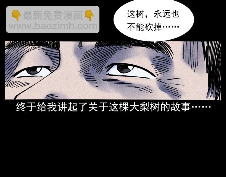 🍛枪爷异闻录 第308话 梨树 第30页