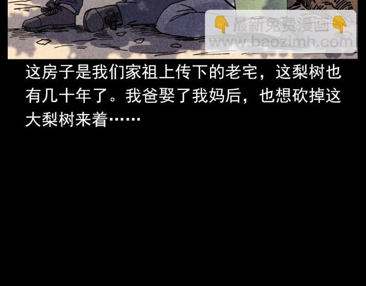 🍛枪爷异闻录 第308话 梨树 第32页