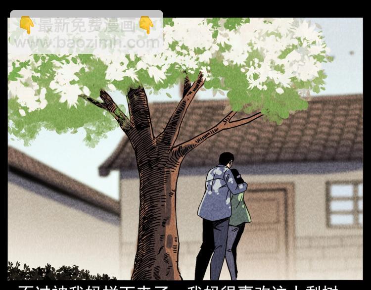 🍛枪爷异闻录 第308话 梨树 第33页