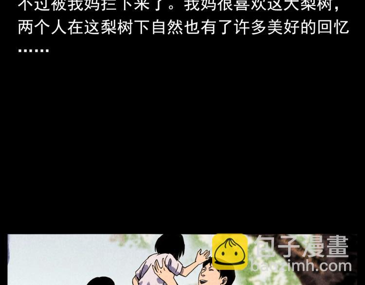 🍛枪爷异闻录 第308话 梨树 第34页