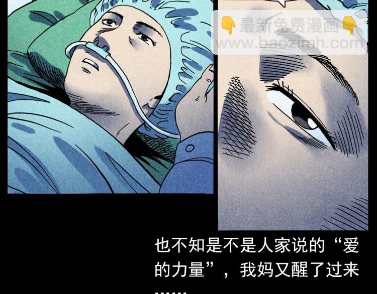 🍛枪爷异闻录 第308话 梨树 第43页