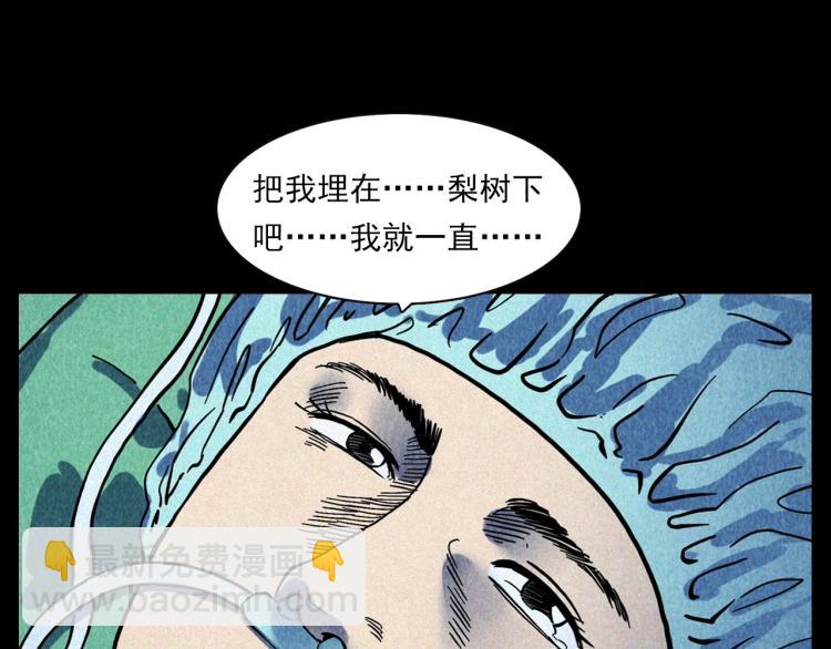 🍛枪爷异闻录 第308话 梨树 第48页