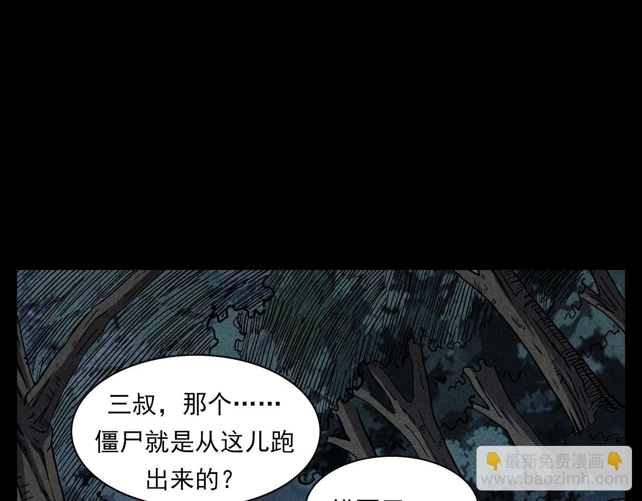 🍛枪爷异闻录 第332话 村里的僵尸事件 下 第9页