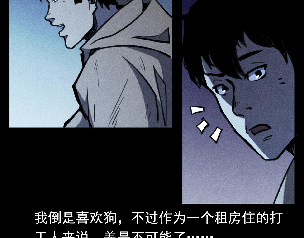 🍛枪爷异闻录 第352话 流浪狗 第11页