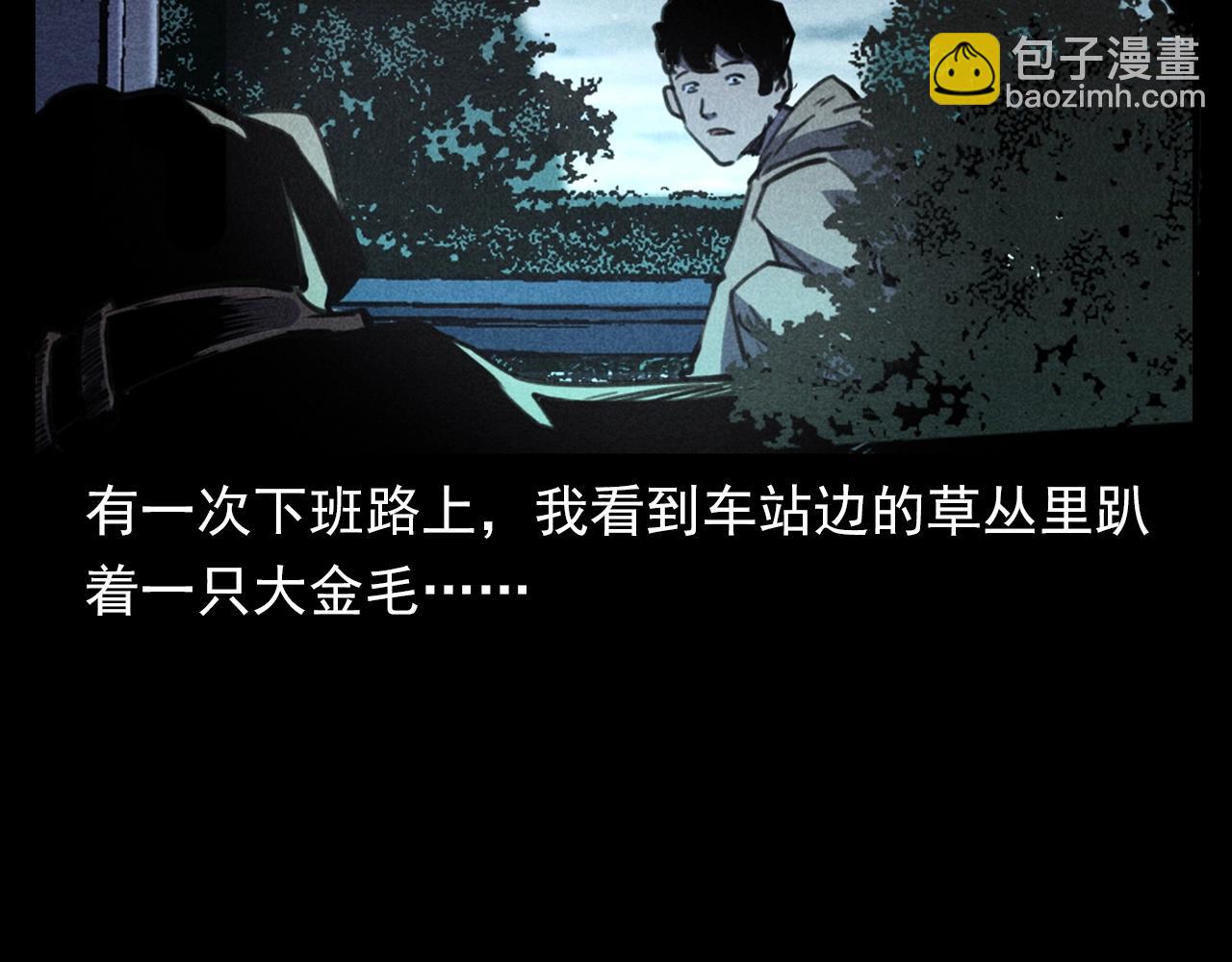 🍛枪爷异闻录 第352话 流浪狗 第13页