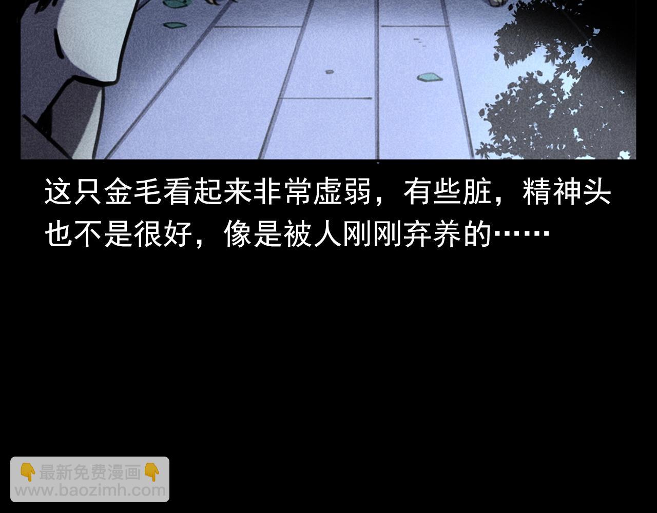 🍛枪爷异闻录 第352话 流浪狗 第15页