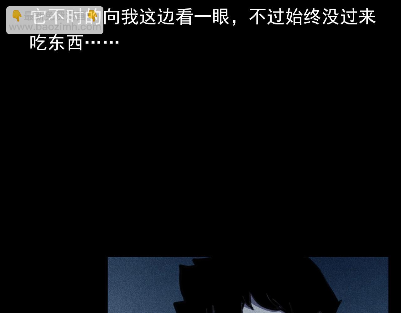 🍛枪爷异闻录 第352话 流浪狗 第17页
