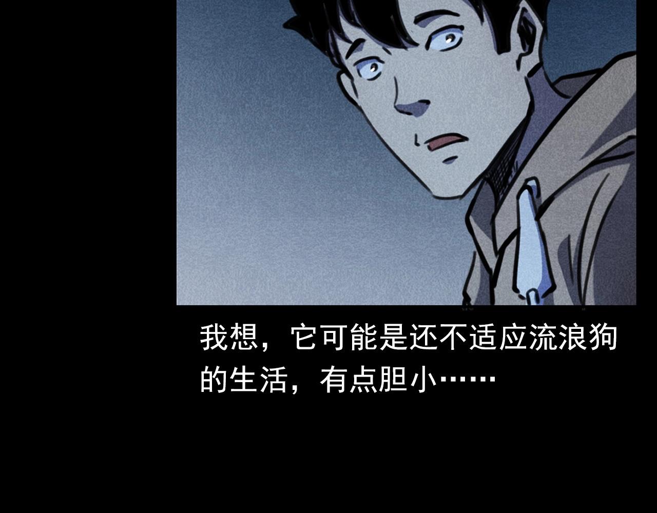 🍛枪爷异闻录 第352话 流浪狗 第18页