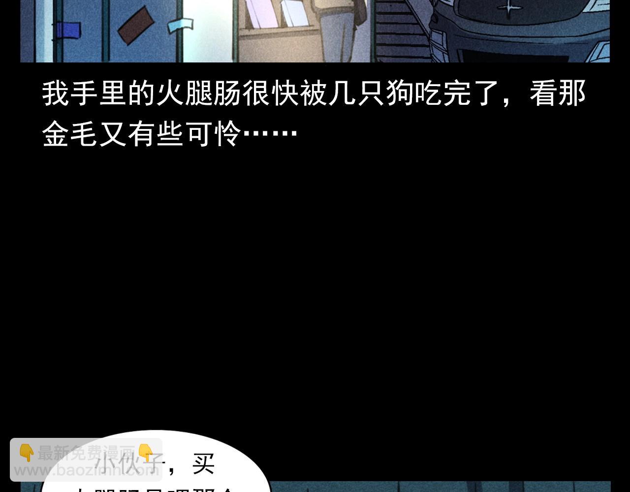 🍛枪爷异闻录 第352话 流浪狗 第22页