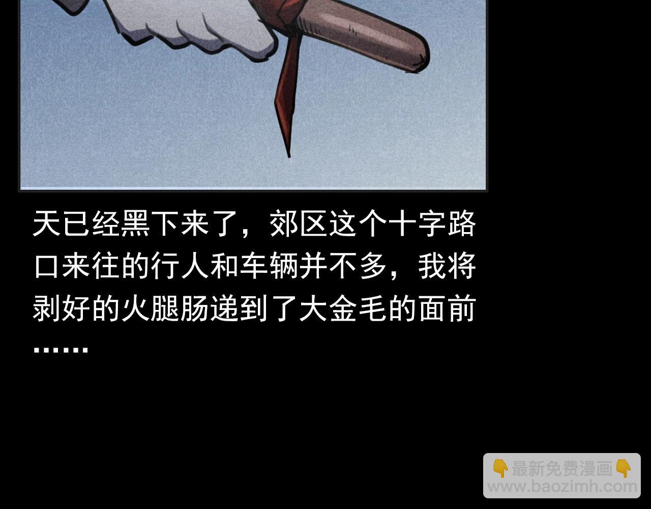 🍛枪爷异闻录 第352话 流浪狗 第30页