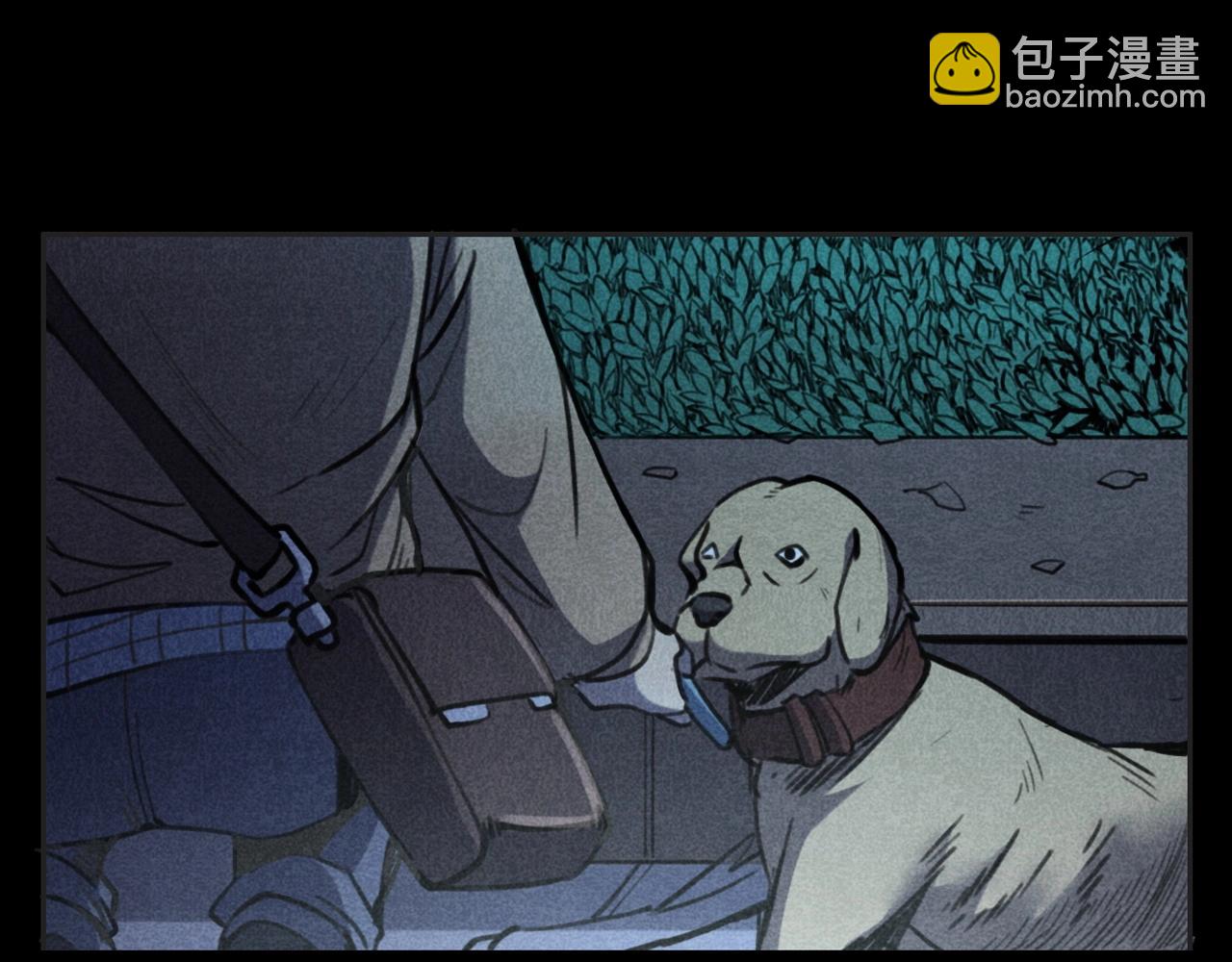 🍛枪爷异闻录 第352话 流浪狗 第31页