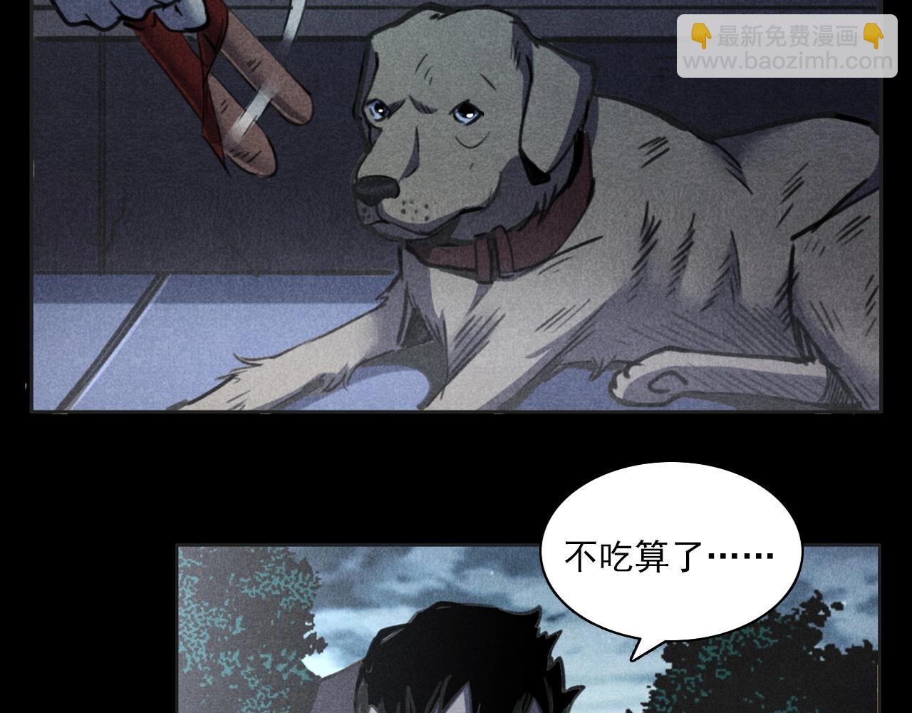 🍛枪爷异闻录 第352话 流浪狗 第33页