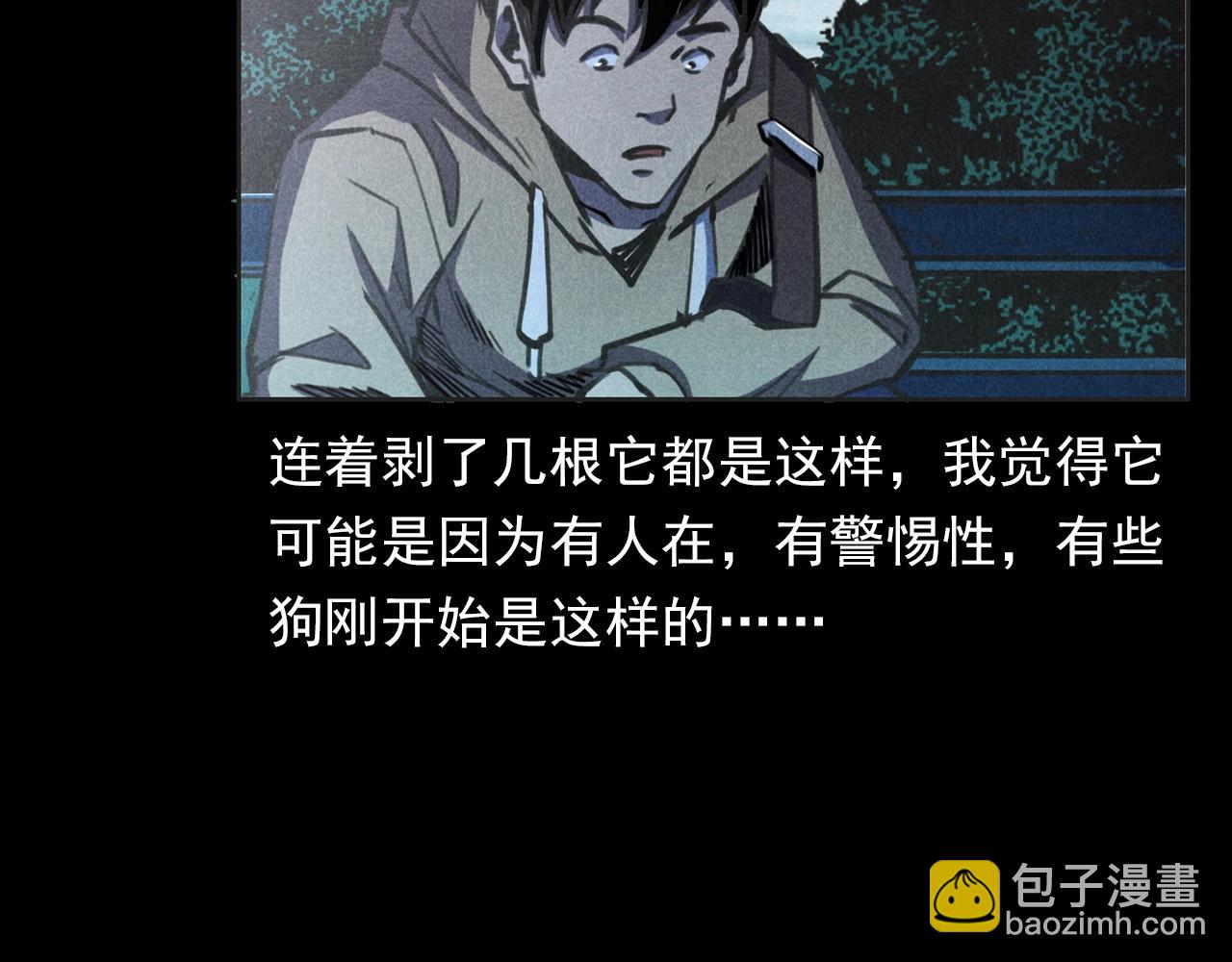 🍛枪爷异闻录 第352话 流浪狗 第34页