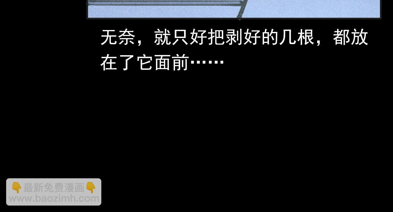 🍛枪爷异闻录 第352话 流浪狗 第36页