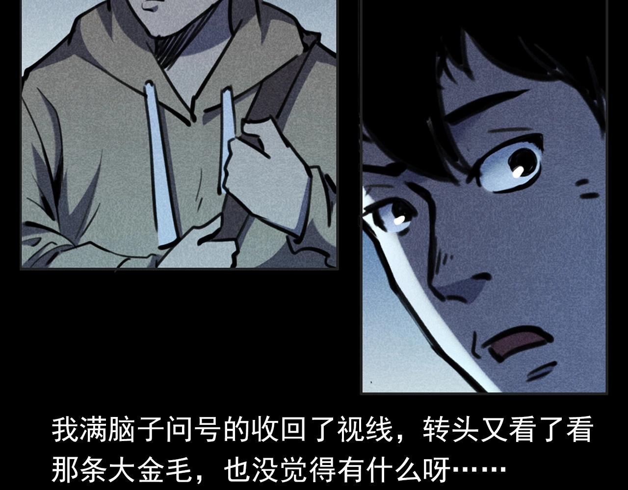 🍛枪爷异闻录 第352话 流浪狗 第47页
