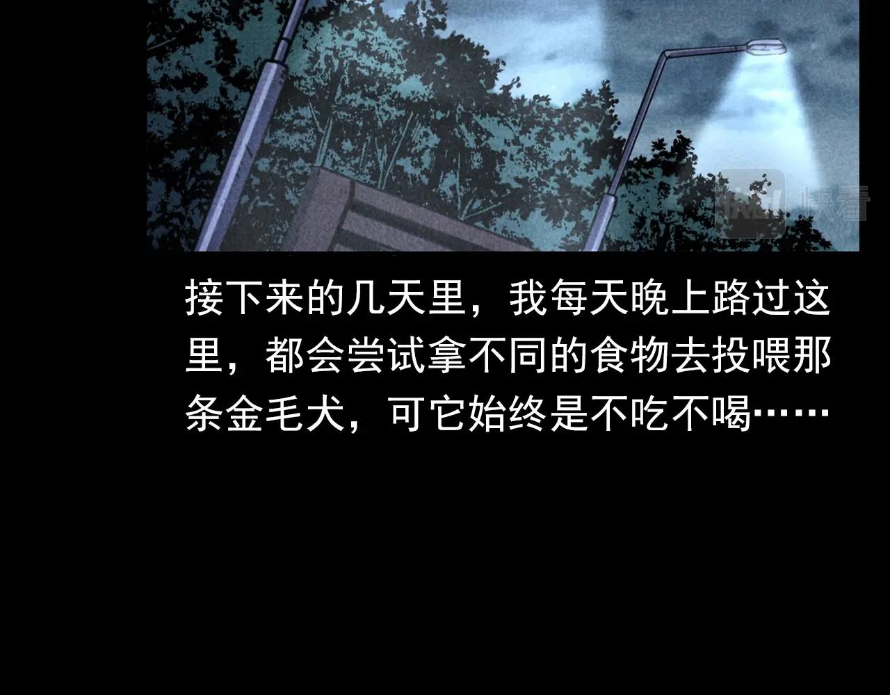 🍛枪爷异闻录 第352话 流浪狗 第49页
