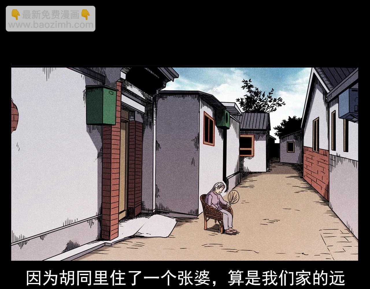 🍛枪爷异闻录 第356话 张婆 第10页