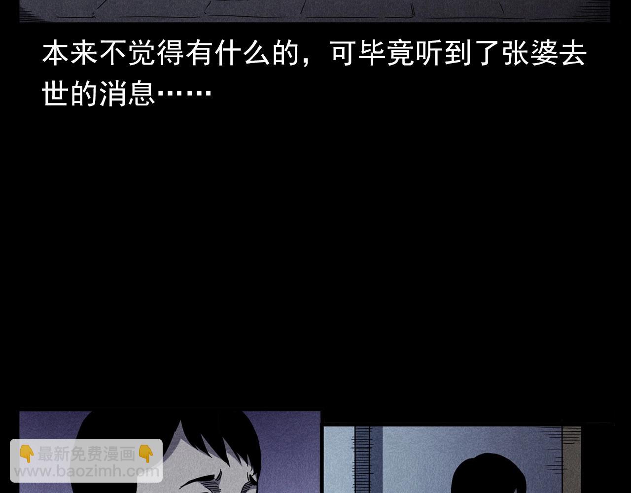 🍛枪爷异闻录 第356话 张婆 第28页