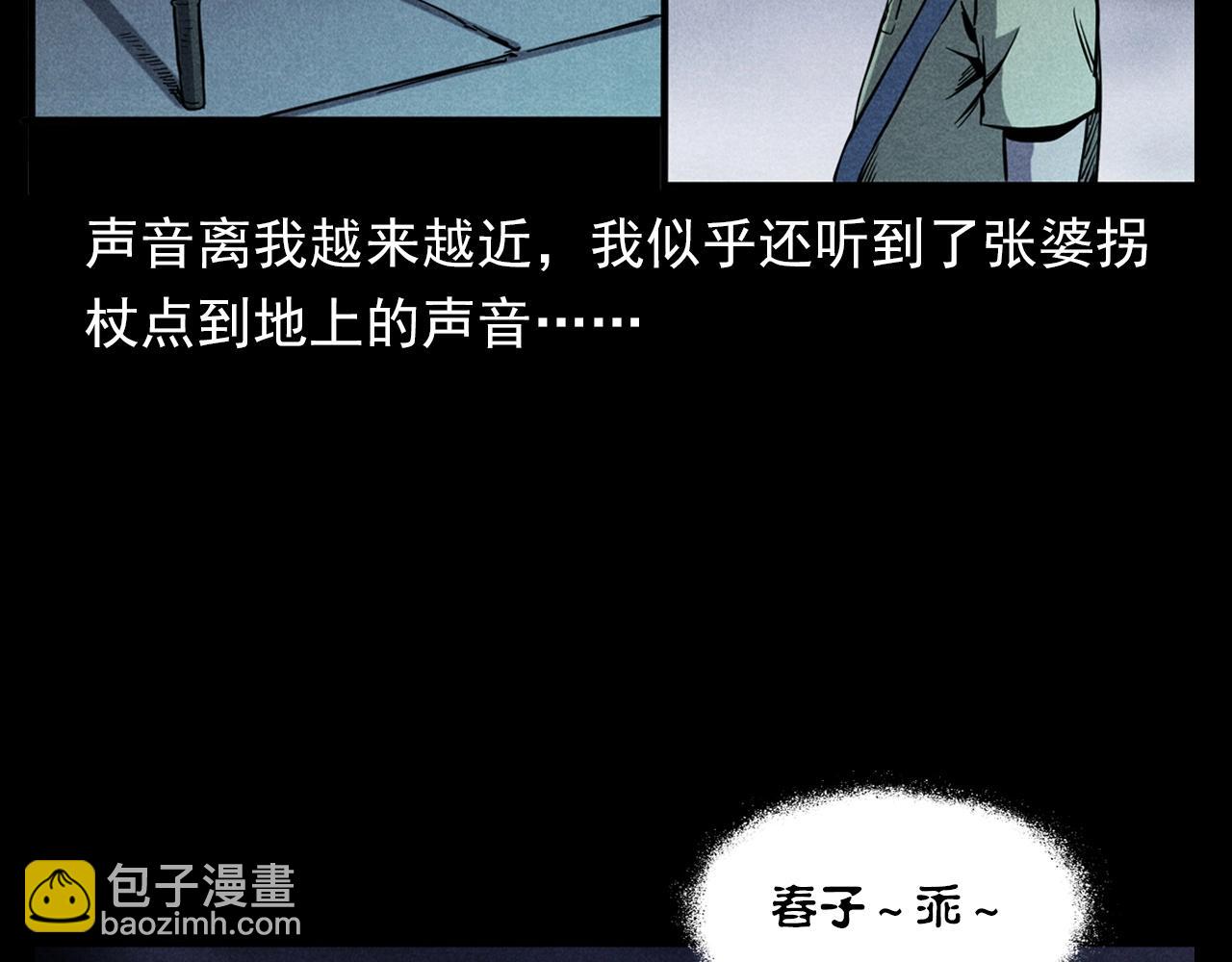 🍛枪爷异闻录 第356话 张婆 第41页