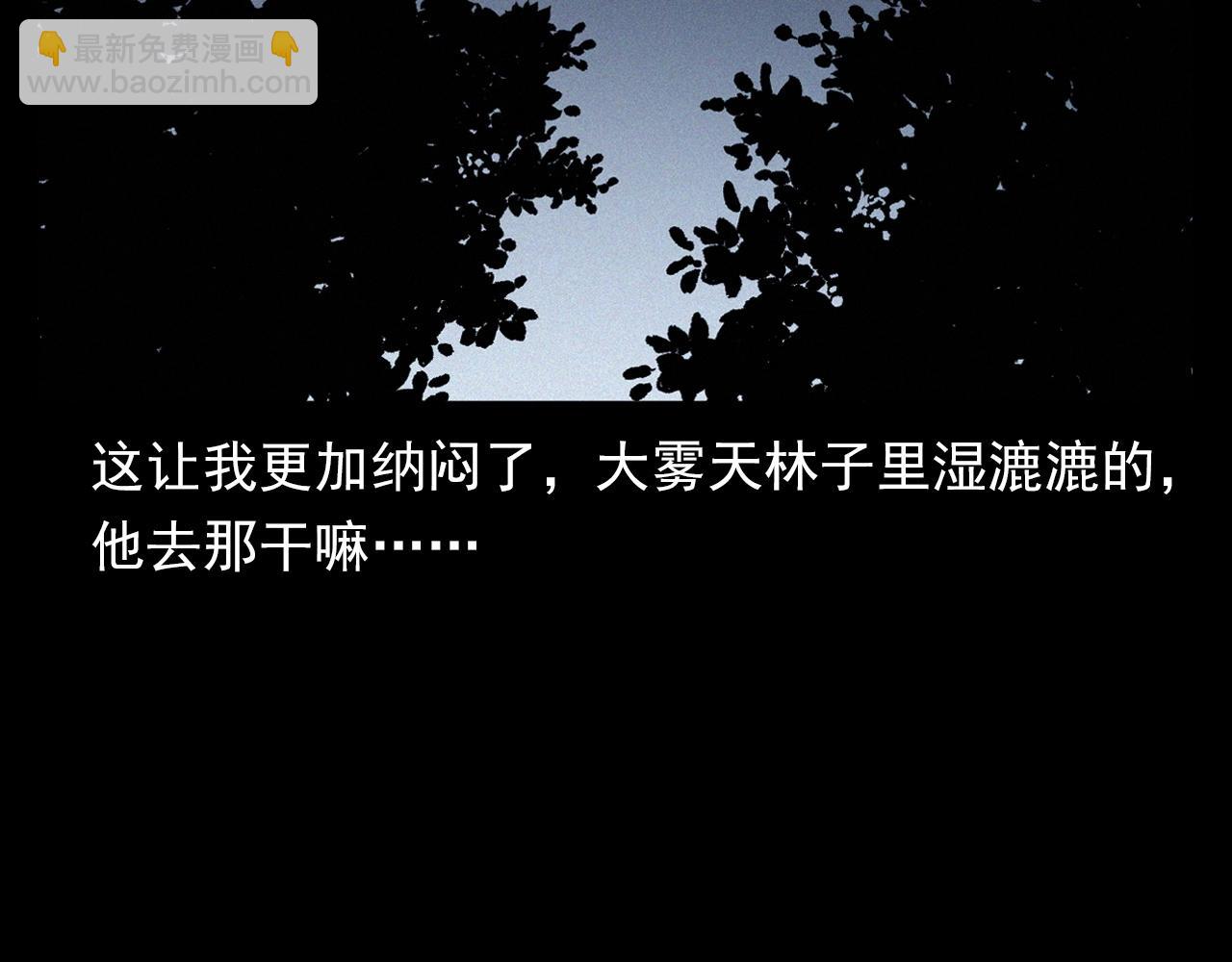 🍛枪爷异闻录 第358话 雾中仙 第28页
