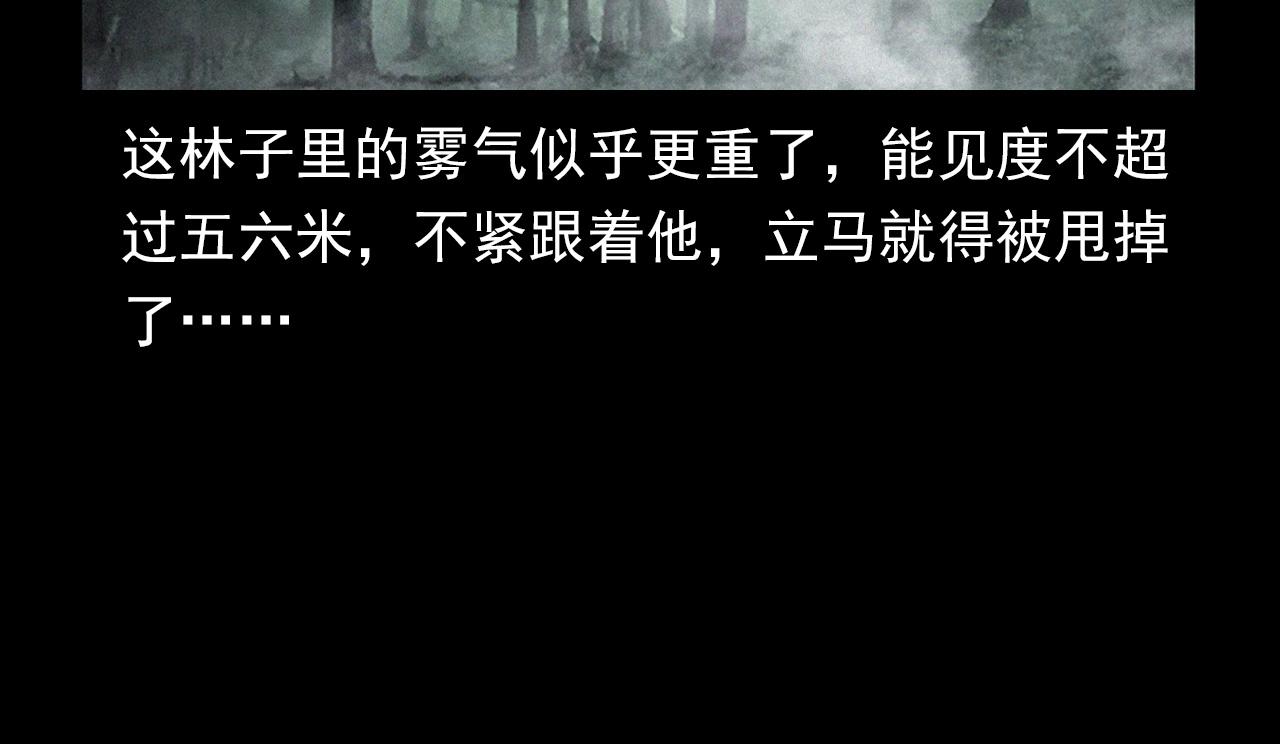 🍛枪爷异闻录 第358话 雾中仙 第33页