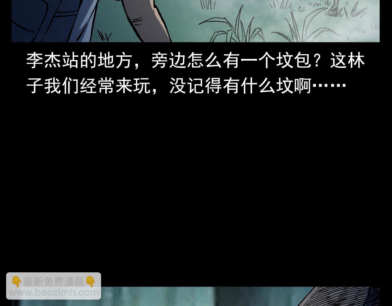 🍛枪爷异闻录 第358话 雾中仙 第47页