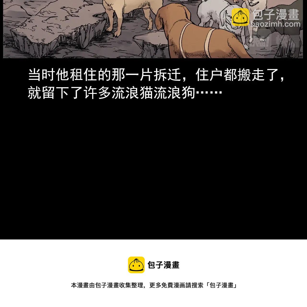 🍛枪爷异闻录 第412话 双瞳猫 第11页