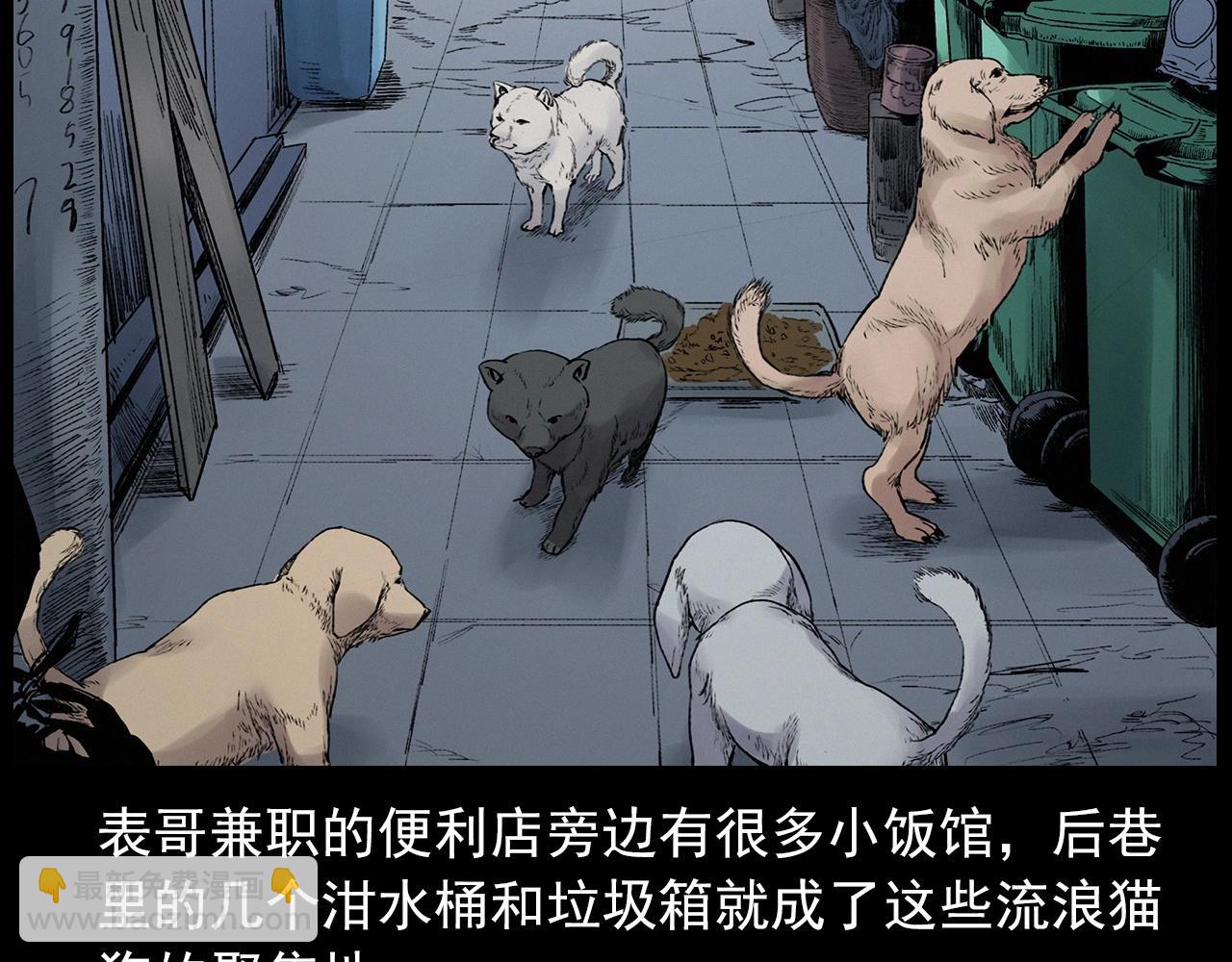 🍛枪爷异闻录 第412话 双瞳猫 第13页
