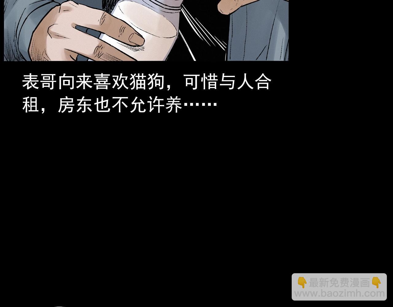 🍛枪爷异闻录 第412话 双瞳猫 第15页