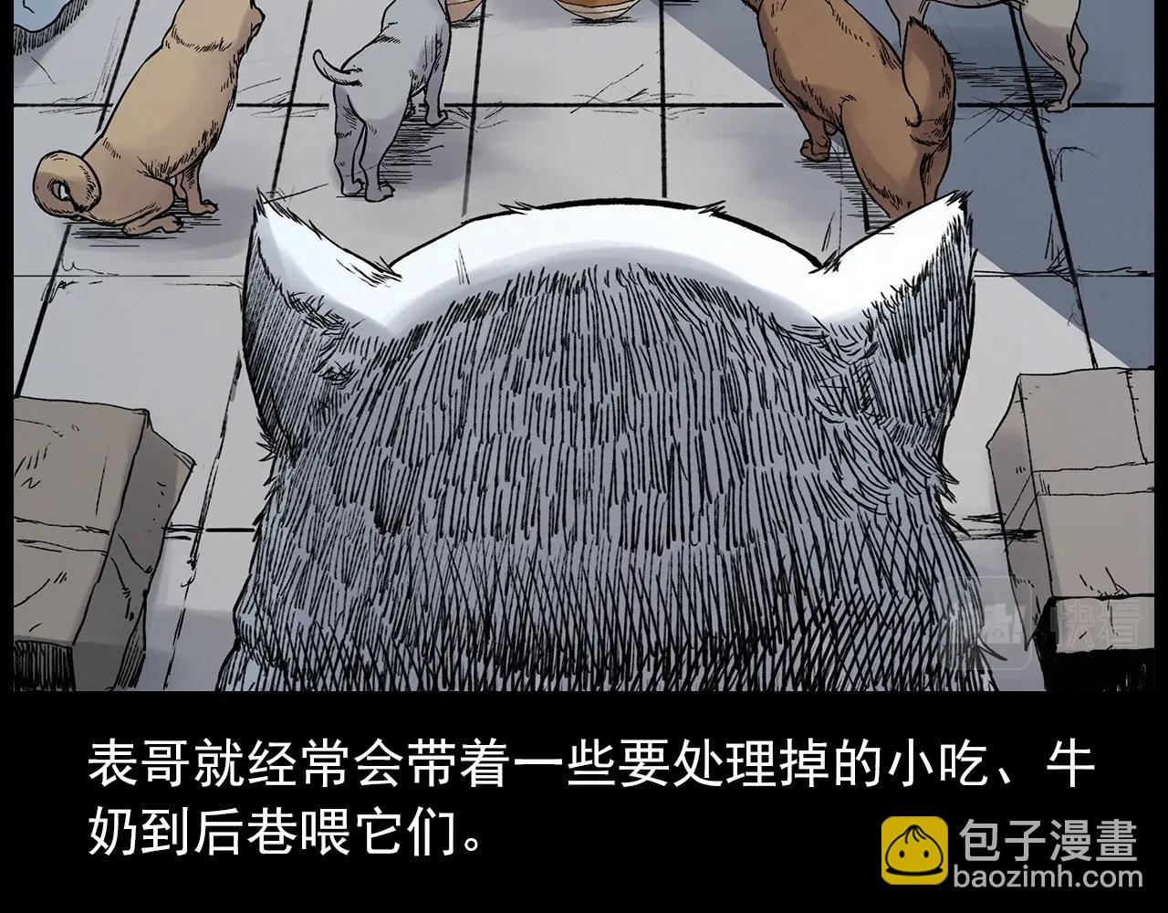 🍛枪爷异闻录 第412话 双瞳猫 第19页