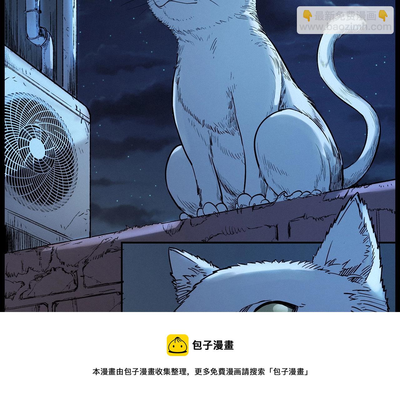 🍛枪爷异闻录 第412话 双瞳猫 第21页
