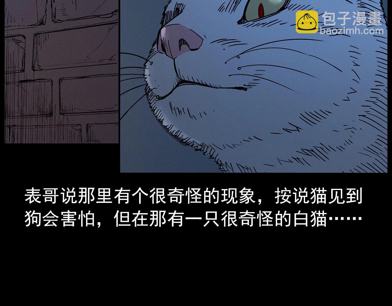 🍛枪爷异闻录 第412话 双瞳猫 第22页