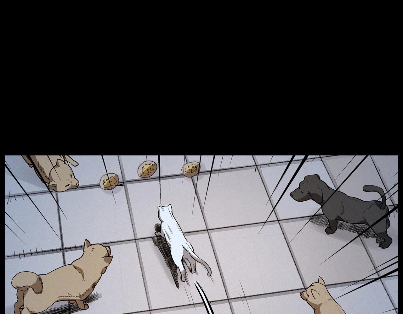 🍛枪爷异闻录 第412话 双瞳猫 第23页