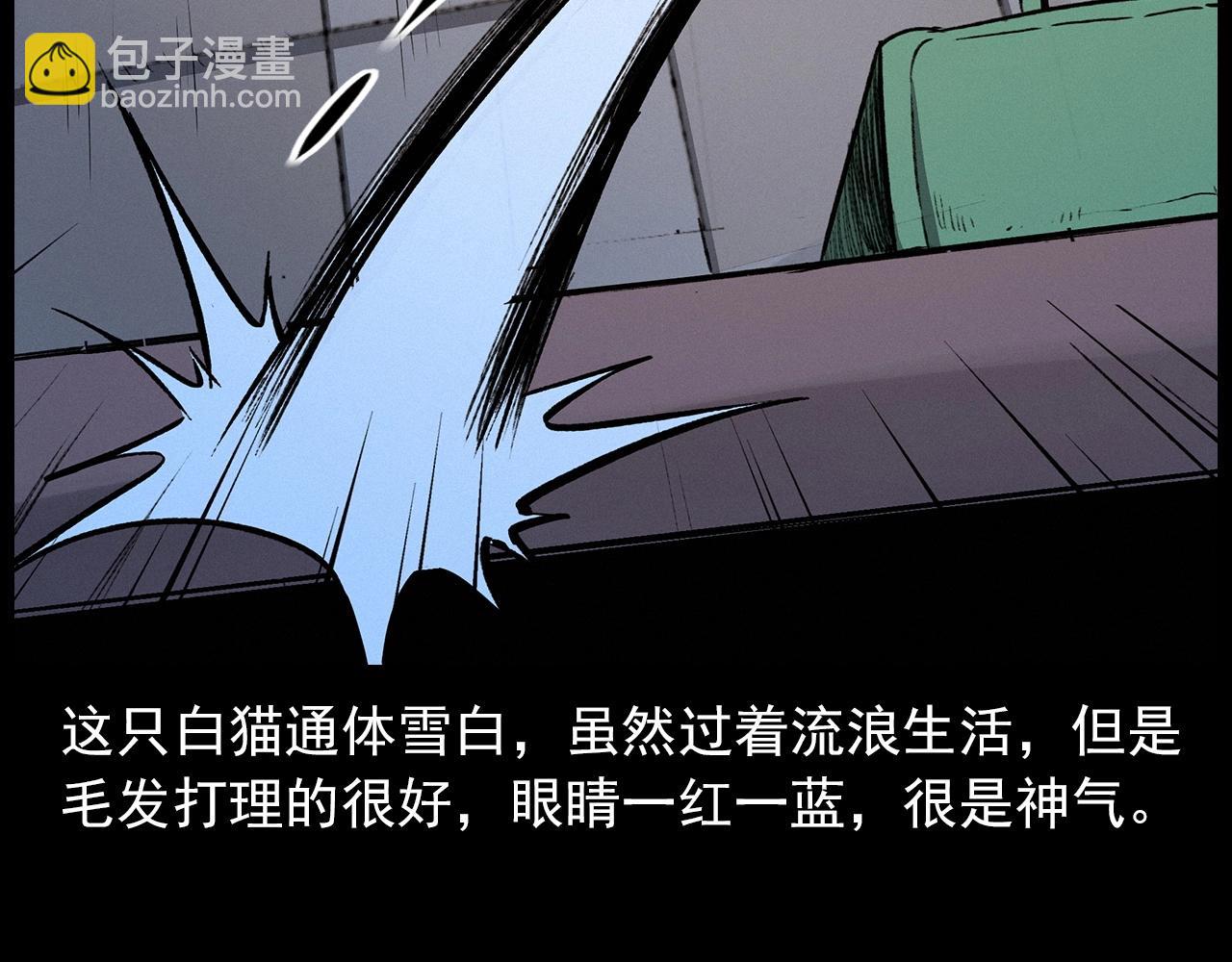 🍛枪爷异闻录 第412话 双瞳猫 第25页